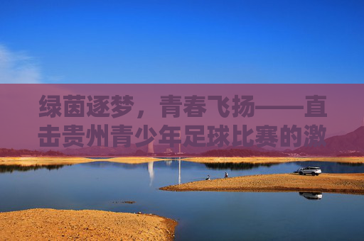 绿茵逐梦，青春飞扬——直击贵州青少年足球比赛的激情瞬间