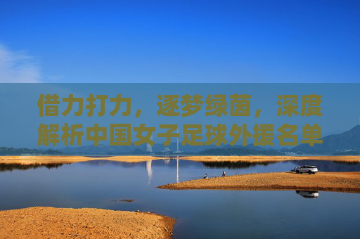 借力打力,逐梦绿茵,深度解析中国女子足球外援名单与联赛格局