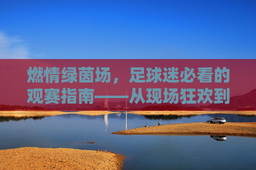 燃情绿茵场,足球迷必看的观赛指南——从现场狂欢到云端盛宴