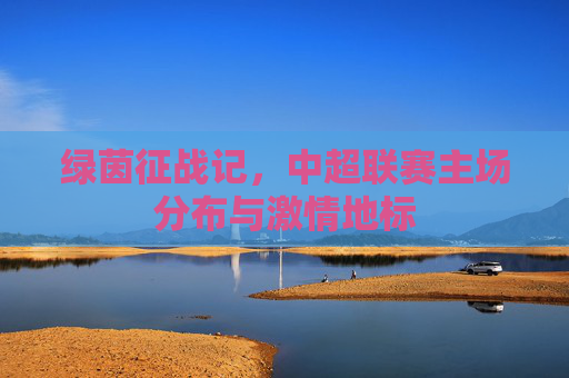 绿茵征战记，中超联赛主场分布与激情地标