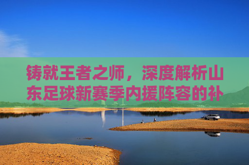 铸就王者之师,深度解析山东足球新赛季内援阵容的补强与野心