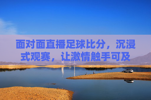 面对面直播足球比分,沉浸式观赛,让激情触手可及
