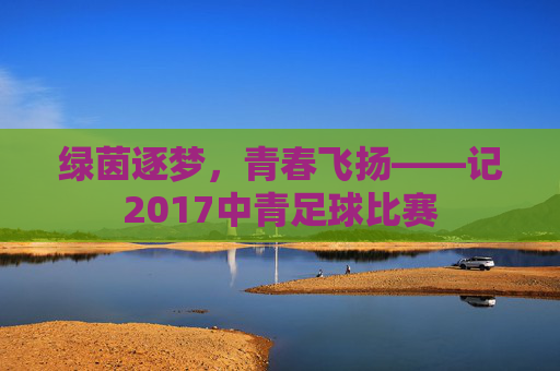 绿茵逐梦,青春飞扬——记2017中青足球比赛