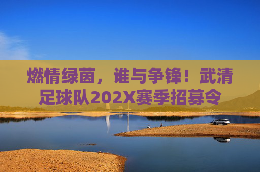燃情绿茵，谁与争锋！武清足球队202X赛季招募令