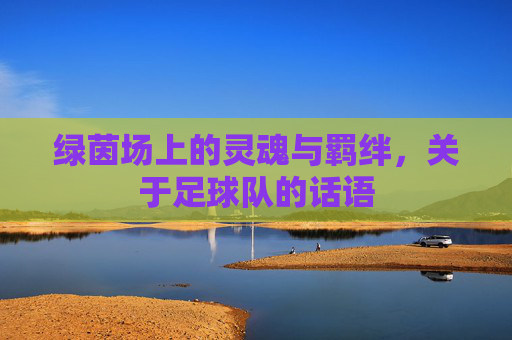 绿茵场上的灵魂与羁绊，关于足球队的话语