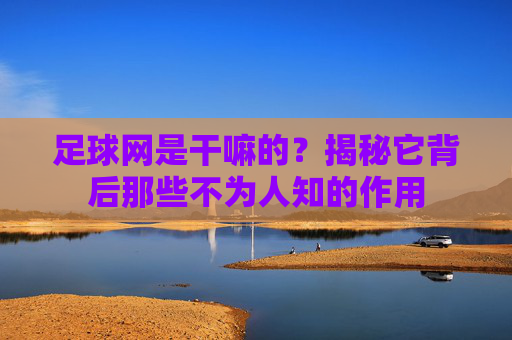 足球网是干嘛的?揭秘它背后那些不为人知的作用
