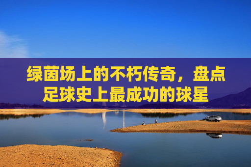 绿茵场上的不朽传奇,盘点足球史上最成功的球星