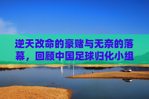 逆天改命的豪赌与无奈的落幕,回顾中国足球归化小组的十年长跑