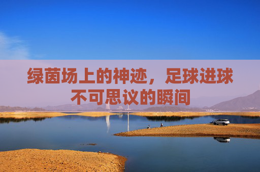 绿茵场上的神迹,足球进球不可思议的瞬间