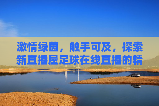 激情绿茵,触手可及,探索新直播屋足球在线直播的精彩世界