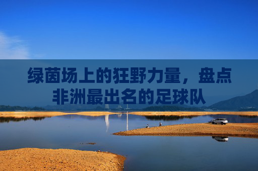 绿茵场上的狂野力量,盘点非洲最出名的足球队