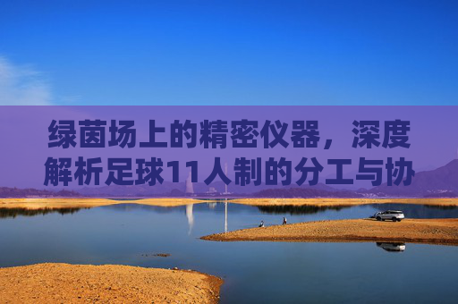 绿茵场上的精密仪器,深度解析足球11人制的分工与协作