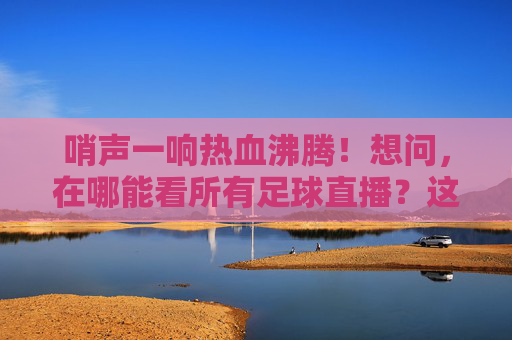 哨声一响热血沸腾！想问，在哪能看所有足球直播？这份全网攻略请收好