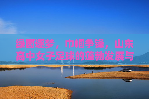 绿茵逐梦,巾帼争锋,山东高中女子足球的蓬勃发展与未来展望