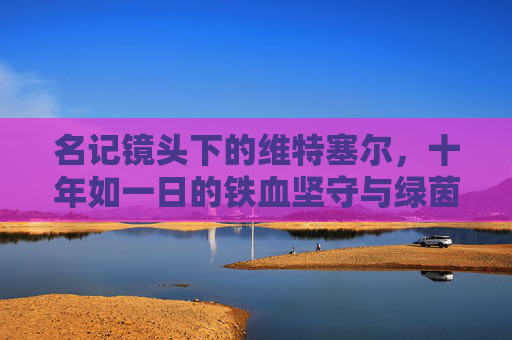 名记镜头下的维特塞尔,十年如一日的铁血坚守与绿茵传奇