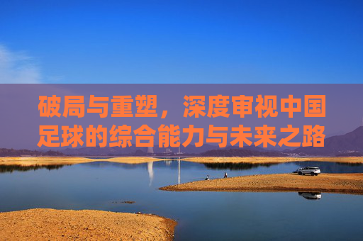 破局与重塑,深度审视中国足球的综合能力与未来之路