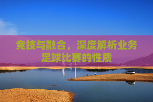 竞技与融合,深度解析业务足球比赛的性质