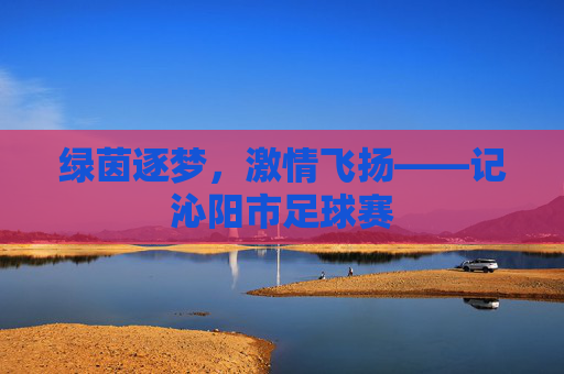 绿茵逐梦，激情飞扬——记沁阳市足球赛