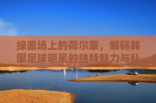 绿茵场上的荷尔蒙，解码韩国足球明星的独特魅力与私域