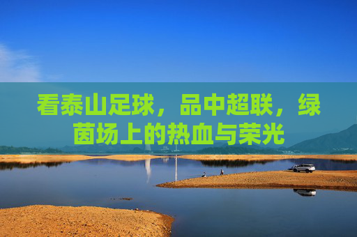 看泰山足球,品中超联,绿茵场上的热血与荣光
