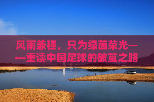 风雨兼程,只为绿茵荣光——重读中国足球的破茧之路