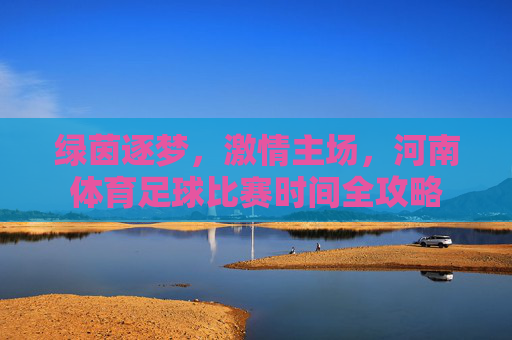 绿茵逐梦,激情主场,河南体育足球比赛时间全攻略
