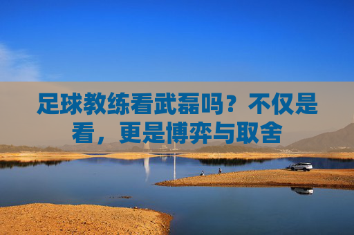 足球教练看武磊吗?不仅是看,更是博弈与取舍