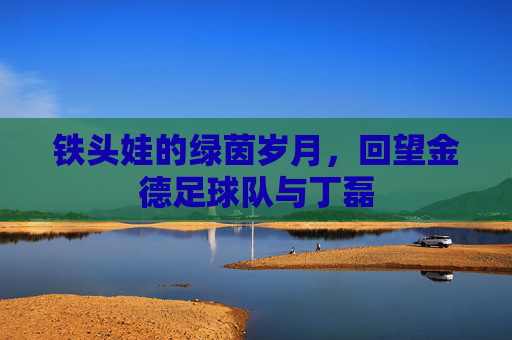 铁头娃的绿茵岁月,回望金德足球队与丁磊