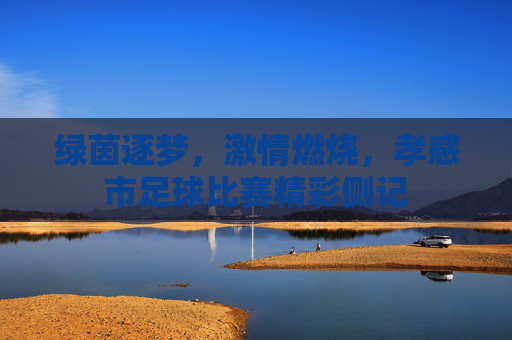 绿茵逐梦,激情燃烧,孝感市足球比赛精彩侧记