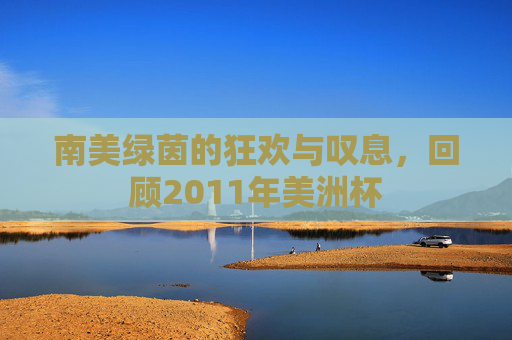 南美绿茵的狂欢与叹息，回顾2011年美洲杯
