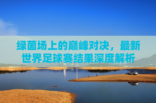 绿茵场上的巅峰对决,最新世界足球赛结果深度解析