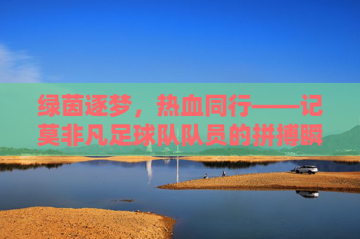 绿茵逐梦,热血同行——记莫非凡足球队队员的拼搏瞬间