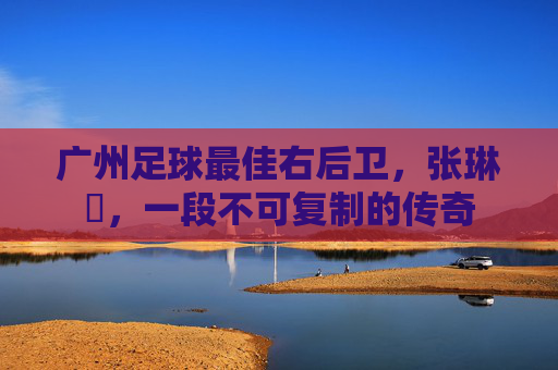 广州足球最佳右后卫,张琳芃,一段不可复制的传奇