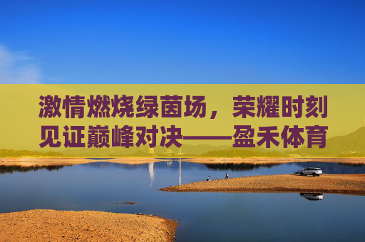 激情燃烧绿茵场,荣耀时刻见证巅峰对决——盈禾体育足球联赛圆满落幕
