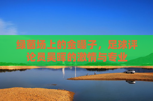 绿茵场上的金嗓子,足球评论员吴晖的激情与专业