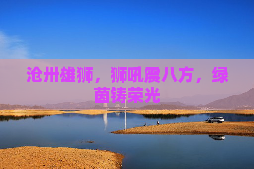 沧卅雄狮,狮吼震八方,绿茵铸荣光