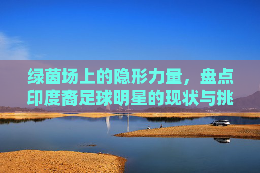 绿茵场上的隐形力量,盘点印度裔足球明星的现状与挑战