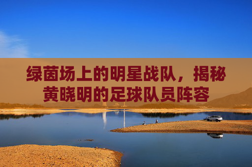 绿茵场上的明星战队,揭秘黄晓明的足球队员阵容