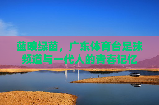 蓝映绿茵,广东体育台足球频道与一代人的青春记忆