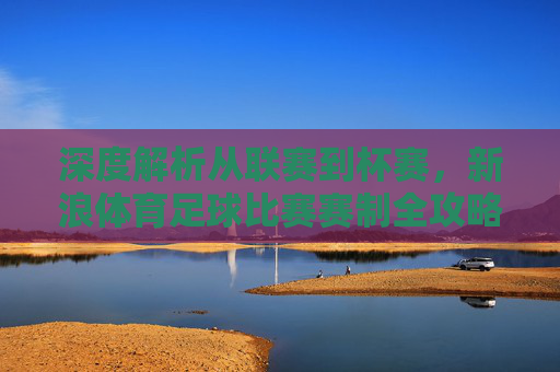 深度解析从联赛到杯赛,新浪体育足球比赛赛制全攻略