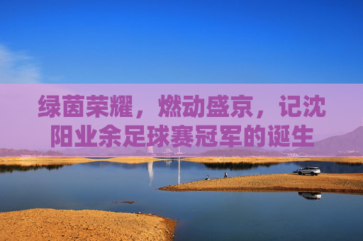 绿茵荣耀,燃动盛京,记沈阳业余足球赛冠军的诞生