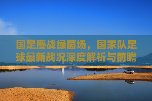 国足鏖战绿茵场,国家队足球最新战况深度解析与前瞻