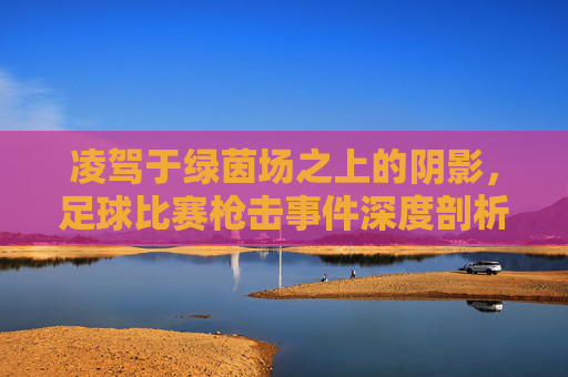 凌驾于绿茵场之上的阴影，足球比赛枪击事件深度剖析