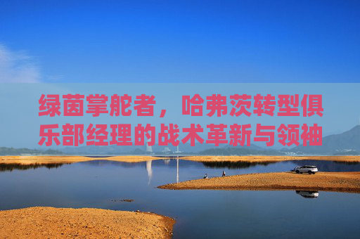 绿茵掌舵者，哈弗茨转型俱乐部经理的战术革新与领袖之路
