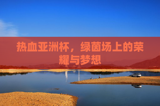 热血亚洲杯,绿茵场上的荣耀与梦想