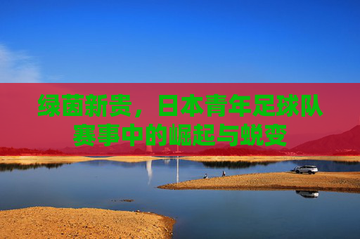 绿茵新贵,日本青年足球队赛事中的崛起与蜕变