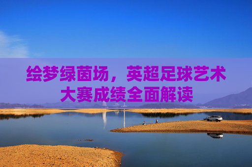 绘梦绿茵场,英超足球艺术大赛成绩全面解读