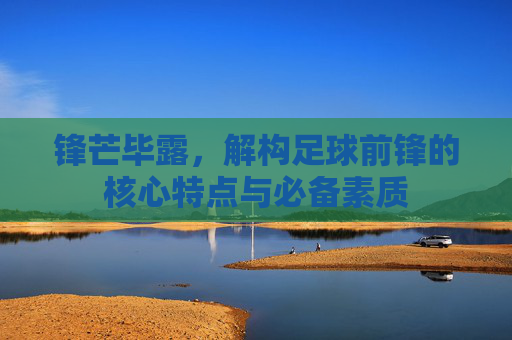 锋芒毕露,解构足球前锋的核心特点与必备素质