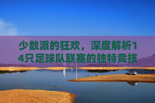 少数派的狂欢,深度解析14只足球队联赛的独特竞技美学