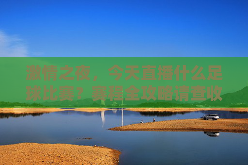 激情之夜,今天直播什么足球比赛?赛程全攻略请查收!